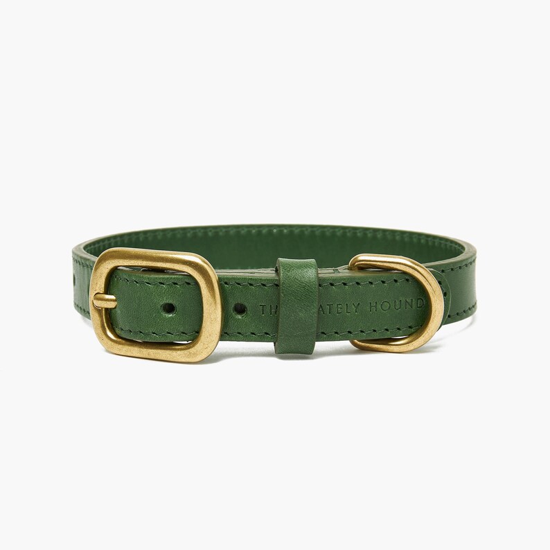Green Leather Dog Collar Handmade Adjustable Pet Collar for Small and