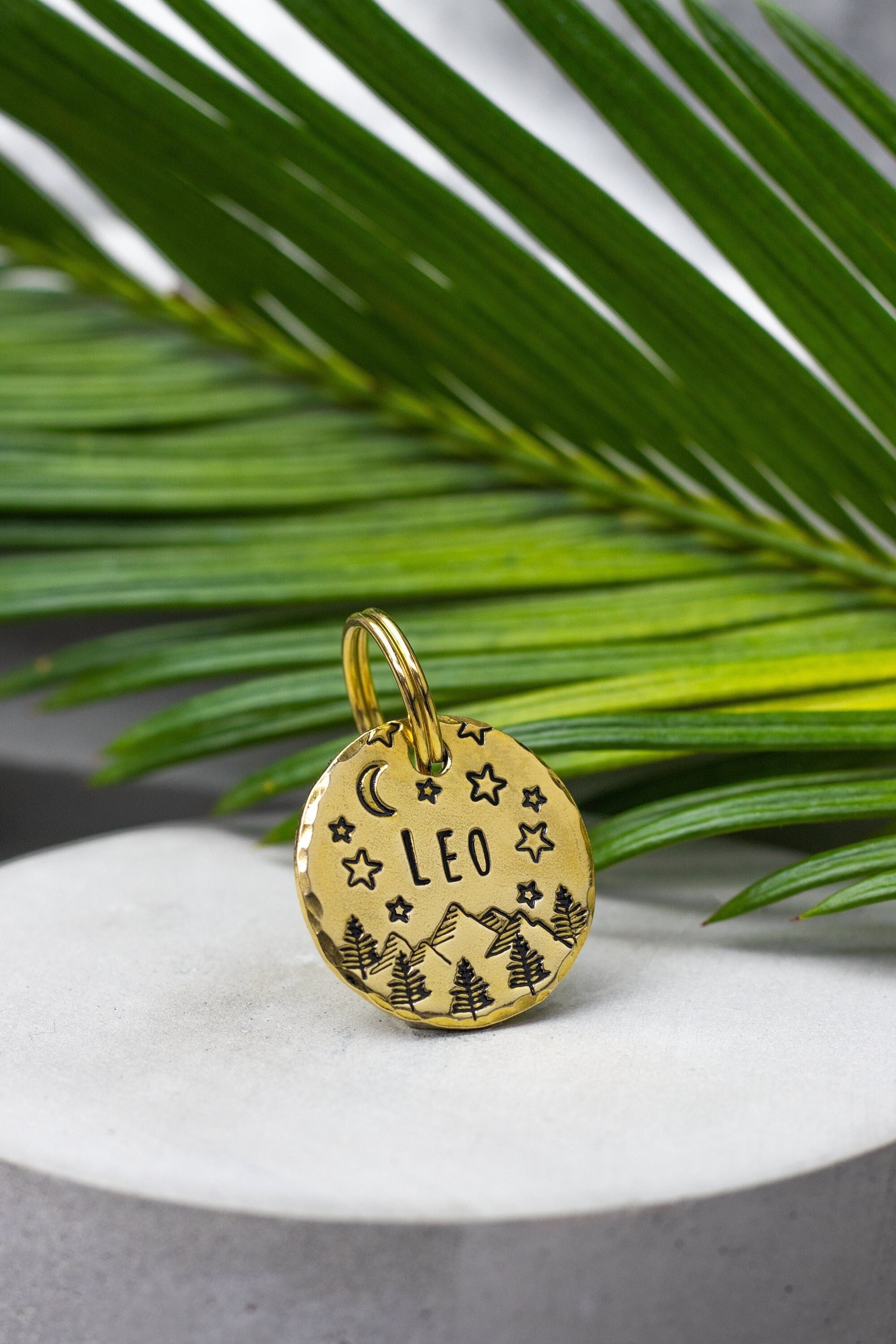 Plaque d'identité Personnalisée Pour Chiens et Chats, Étiquette d'identification Animaux de Compagni