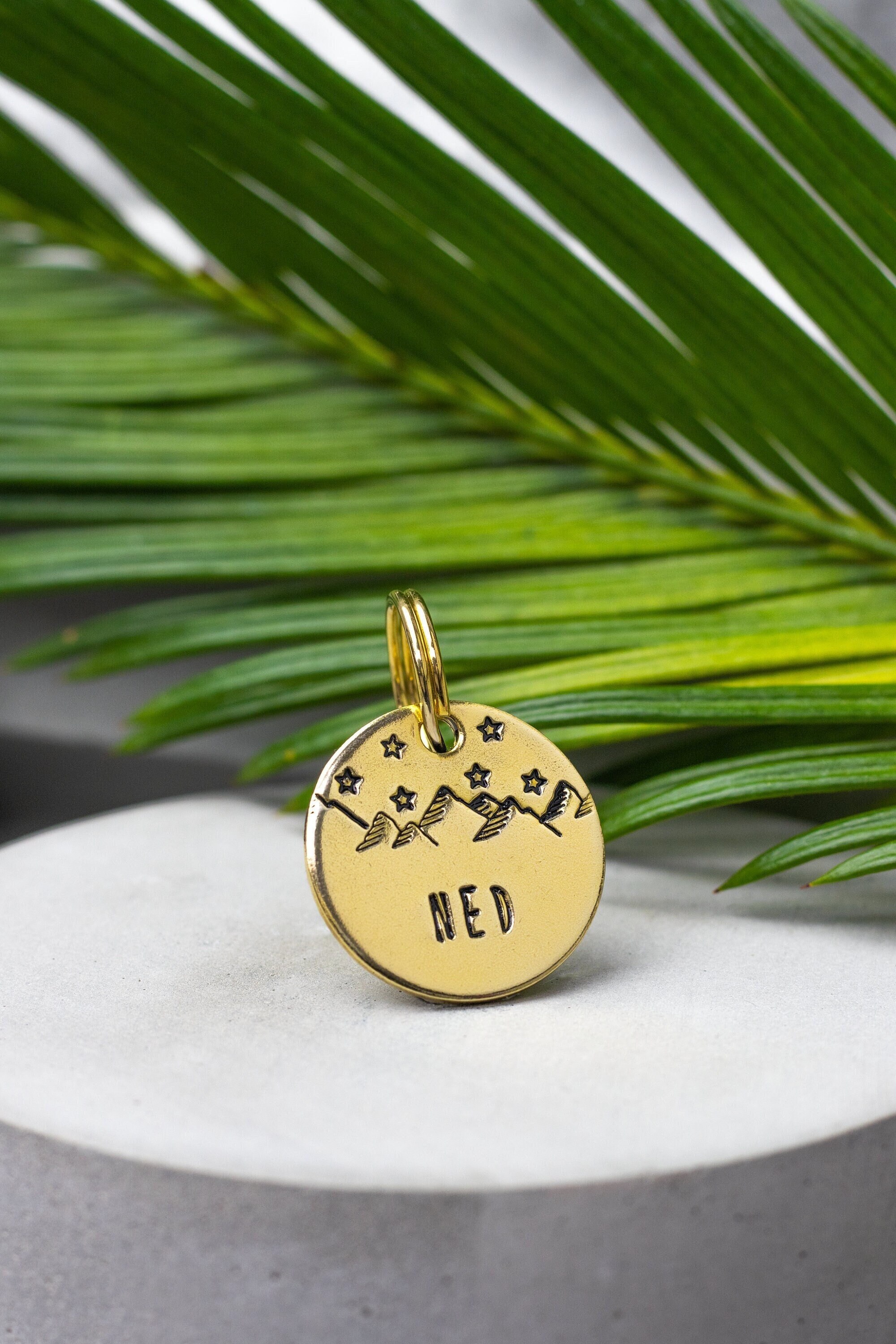 Personalized Dog Tag for Dogs and Cats Pet ID Name Tag Etsy UK