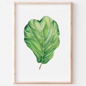 Watercolor Fiddle Leaf Art Print,  8 x 10 print, Painting Wall Decor