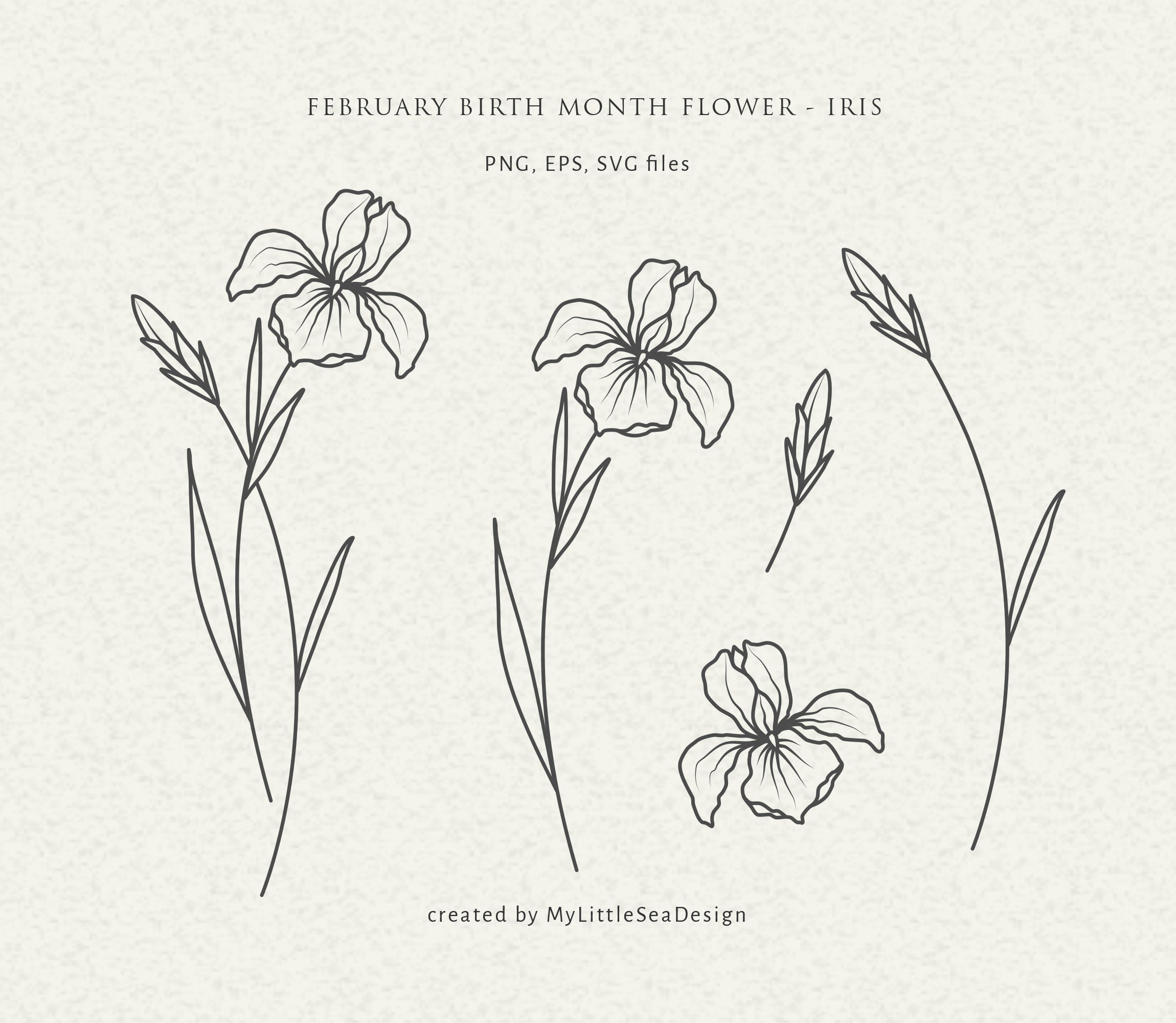 February Birth Flower SVG