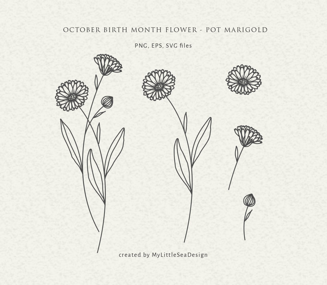 October Birth Flower Svg Birth Month Flower Svg Floral Svg Etsy