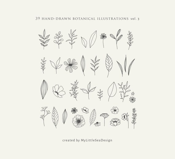 Download Floral Bundle Svg Botanical Svg Files Hand Drawn Floral Etsy PSD Mockup Templates