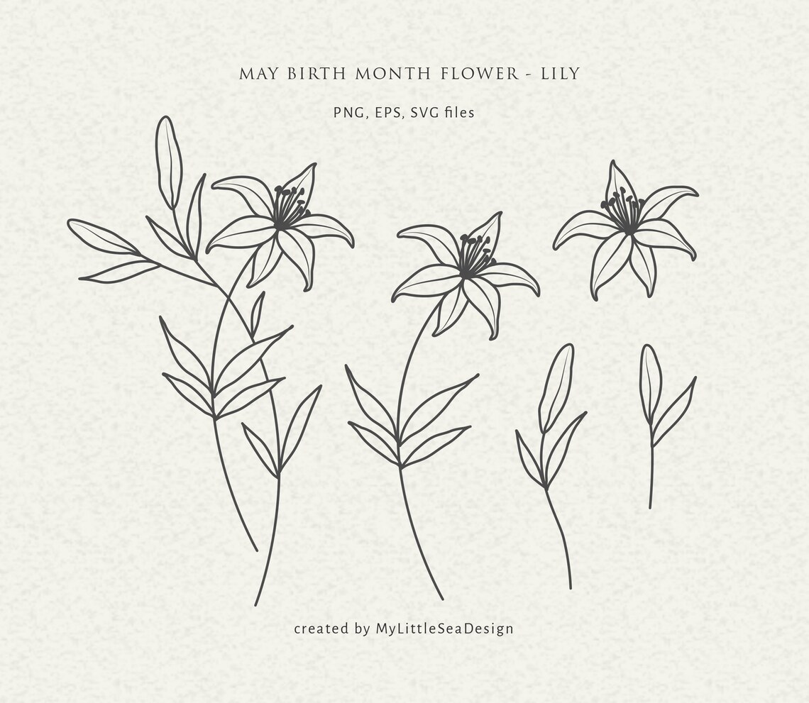 May Birth Flower Svg Birth Month Flower Svg Floral Svg Etsy