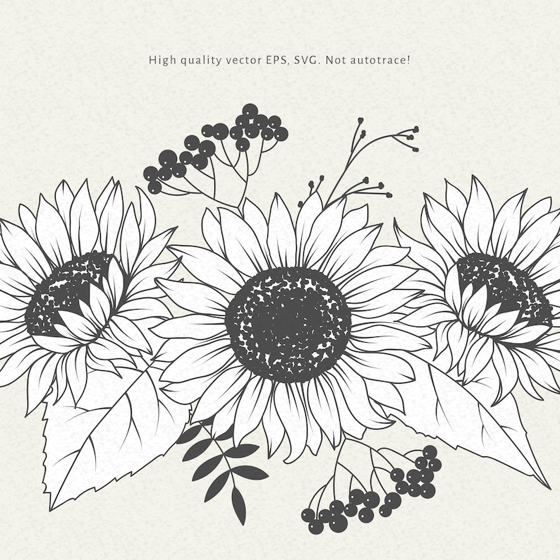 Download Sunflower Svg Png Bouquet Sunflower Wedding Clipart Fall ...