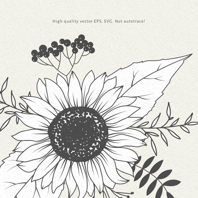 Download Sunflower Svg Png Bouquet Girasol Boda Clipart Otoño | Etsy