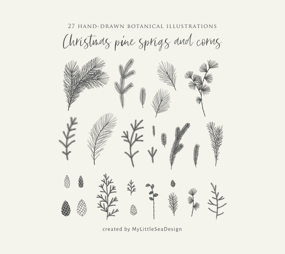 Download Christmas Floral Clipart Svg Png Winter Pine Sprigs And Etsy