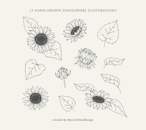 Free Free 168 Flower Clipart Sunflower Svg Black And White SVG PNG EPS DXF File