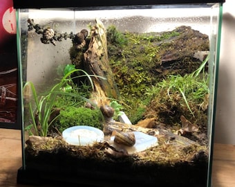 Small Mini Terrarium for Land Snails | Pet Snail Enclosure for