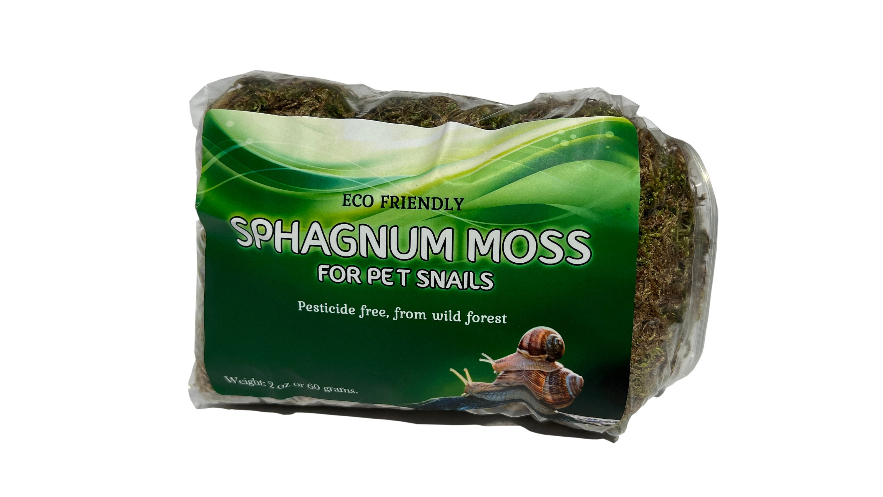 Pet Snail Terrarium Kit + 50% OFF Discount Card for Buying