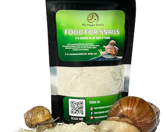 Small Mini Terrarium for Land Snails | Pet Snail Enclosure for