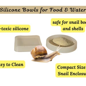Pet Snail Food & Water Bowl, Set of 2 Pcs | Land Snails Feeding Bowls made of Silicone