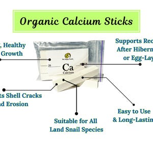 May include: Organic calcium sticks for land snails. The sticks are white and labelled "Ca Calcium". The image shows the benefits of using the sticks, including strong shell growth, preventing shell cracks and erosion, and supporting recovery after hibernation or egg-laying.