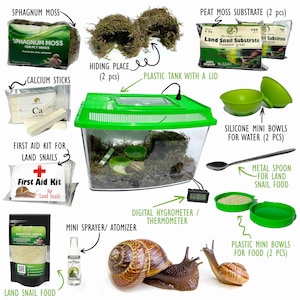 Kit Terrário de Caracol de Estimação + Cartão de Desconto de 50% OFF para Comprar Caracóis Helix Aspersa (envio dos EUA) | Cornu Aspesum Garden Land Snails