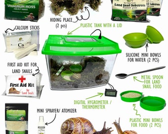 Land Snail Terrarium Kit + 50% OFF Discount Card for Buying Snails