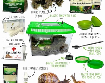 Small Mini Terrarium for Land Snails | Pet Snail Enclosure for