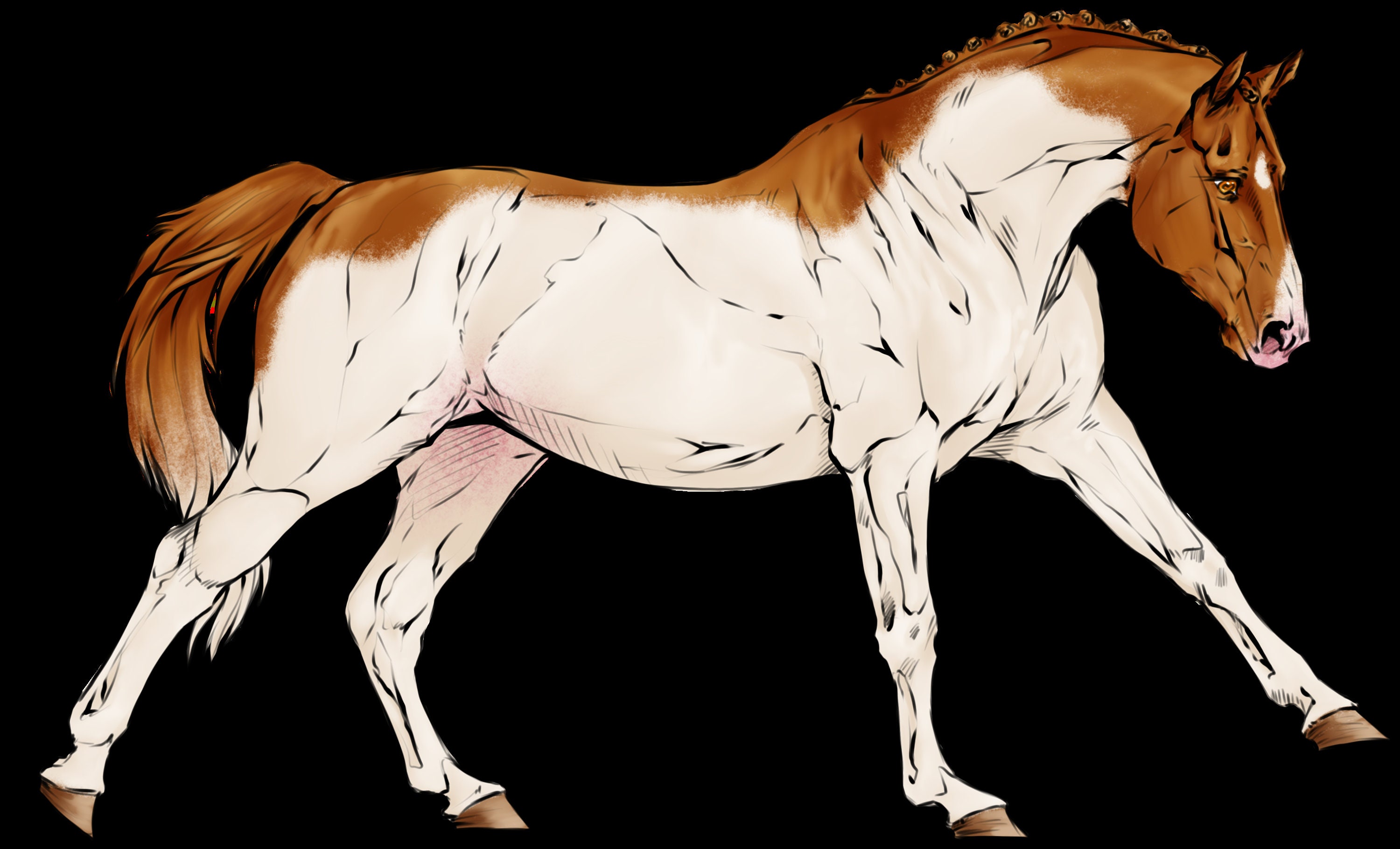Horse adopt