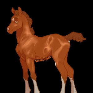 Foal adopt