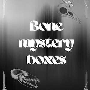 Oddities mystery boxes