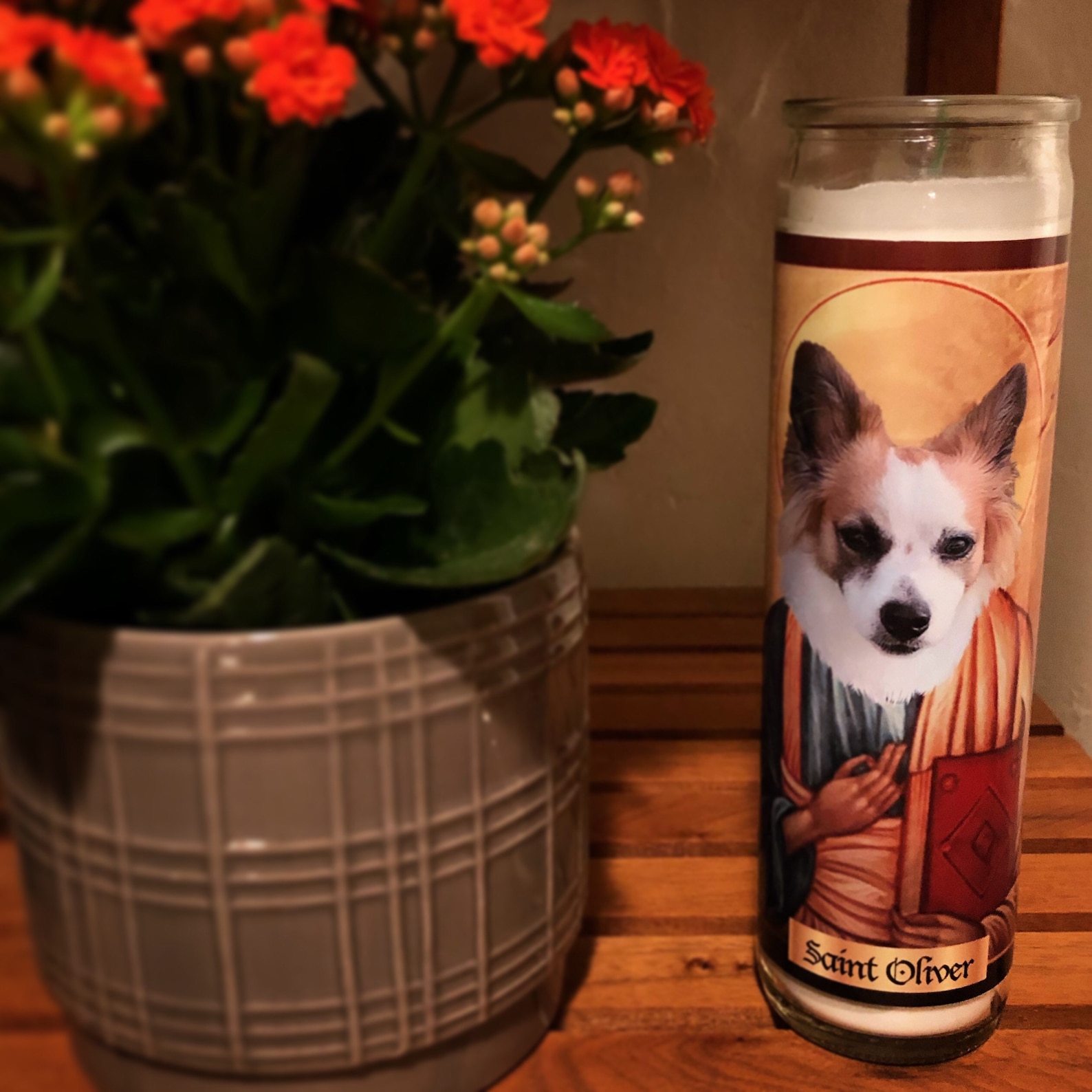 Custom Pet Prayer Candles Your Dog as a Saint Custom Saint Candle Pet