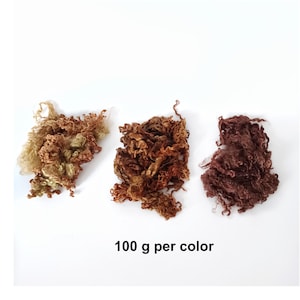 May include: Three piles of curly wool in shades of brown, from light tan to deep reddish-brown, are displayed against a white background. The text "100 g per color" is printed below the wool. This image is suitable for fiber artists and crafters.