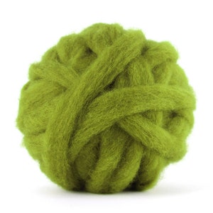 Felting wool roving Carded wool Spinning fiber Needle felting wool supplies Corriedale wool sliver Lichen Moss green Sage