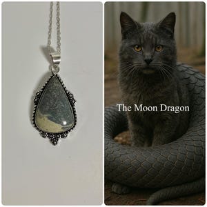 Female Tatzelwurm Spirit Companion