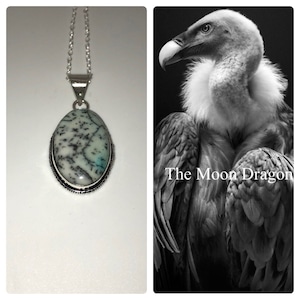 Female Vulture Spirit Guide and Familiar