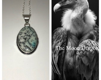 Guía espiritual y familiar buitre hembra