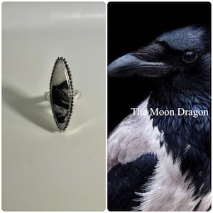 Female Magpie Spirit Companion and Guide