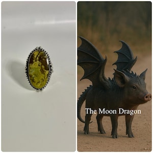 Male Arkon Sonny Dragon Hybrid Spirit Companion