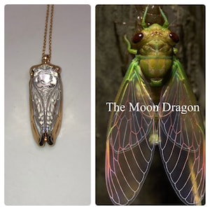 Cicada Amulet of Illumination
