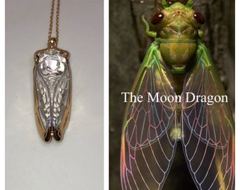 Amulette illuminée de cigale