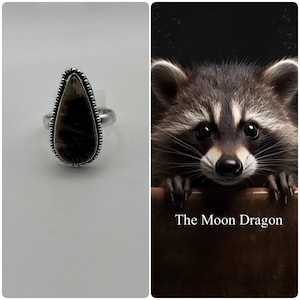 Male Tanuki Spirit Companion