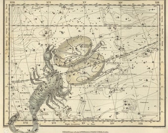 Scorpio Labra Созвездие Цифровой плакат, Астрологический знак, Астрономия Декор, Созвездие Карта, Зодиак Скачать старинные астрологии