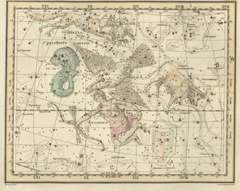 Vulpecula Anser Delphinus Sagitta Aquila Созвездие Цифровые, Астрологический знак, Астрономия Декор, Созвездие Карта, Зодиак Скачать