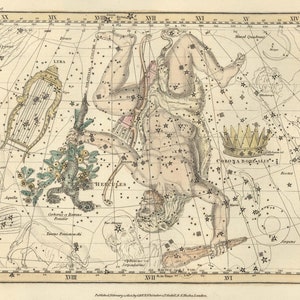 Lyra Hercules Corona Bore Alis Konstellation digital, astrologische Zeichen, Astronomie Dekor, Konstellation Karte, Sternzeichen Download