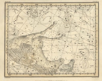 Pegasus Equuleus Созвездие Цифровые, Астрологический знак, Астрономия Декор, Созвездие Карта, Зодиак Скачать
