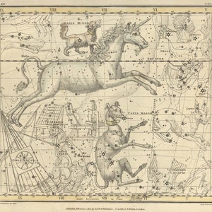 Canis moll Monoceros Canis großen Orion Konstellation digital, astrologische Zeichen, Astronomie Dekor, Konstellation Karte, Sternzeichen Download