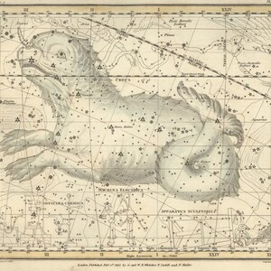 Cetus Officina Chemica Machina Electrica Konstellation digital, astrologische Zeichen, Astronomie Dekor, Konstellation Karte, Sternzeichen Download