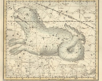 Cetus Officina Chemica Machina Electrica Constellation Digital, Astrological Sign, Astronomy Decor, Constellation Map, Zodiac Download