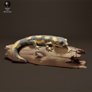 May include: A black and yellow salamander figurine perched on a weathered piece of driftwood. The figurine is detailed with black spots and a yellow underbelly.