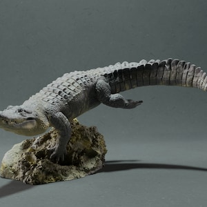 Swimming Cocodrile | Miniature Resin Cocodrile to Paint | 35, 49, 54 or 75 mm Scale