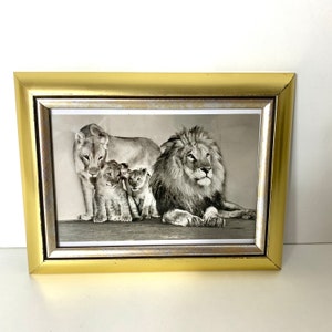 Original Postkarte des zoologischen Gartens Frankfurt aus den 70er Jahren im klassisch gehaltenen Holzbilderrahmen . Dekorationsobjekt
