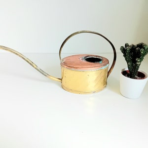 Vintage watering can - small cactus watering can - 60s decoration - beautiful watering can - rockabilly