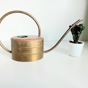 Vintage watering can - small cactus watering can - 60s decoration - beautiful watering can - rockabilly
