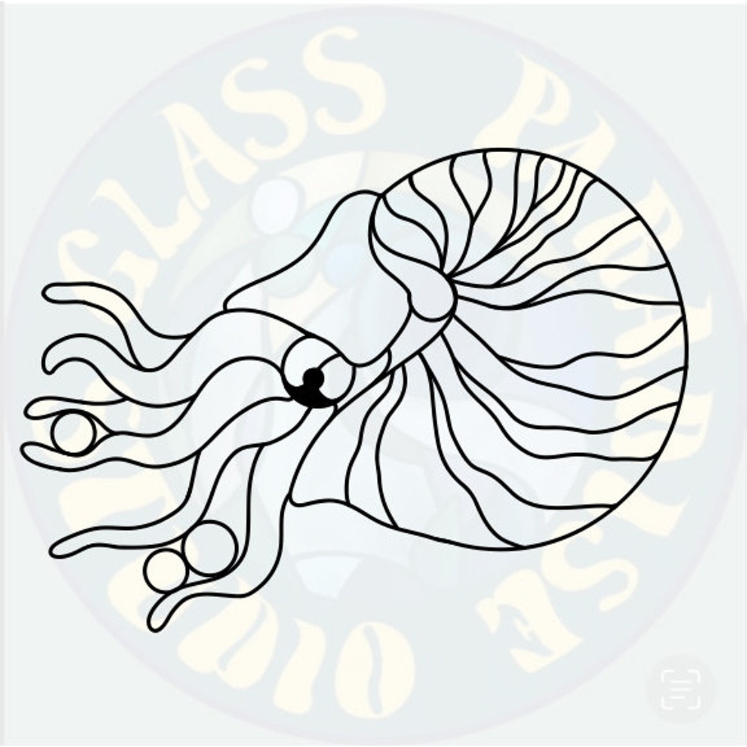 Nautilus Stained Glass Pattern PDF Digital File - Etsy