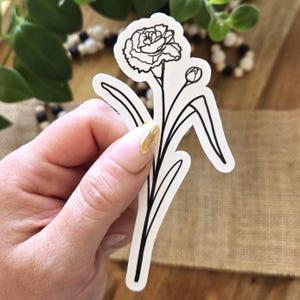 Sticker bloem geboortemaand anjer januari | 2,25 x 4 inch glanzend waterdicht vinyl | Zwart-wit handgetekende botanisch, geïllustreerd met bloemen