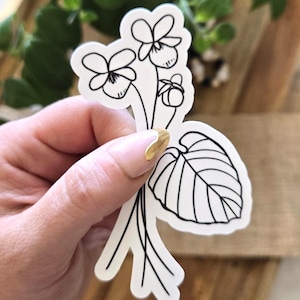 Bloemensticker bloemen van de geboortemaand van de geboortemaand februari | 2,5 x 4 inch glanzend waterdicht vinyl | Zwart-wit handgetekende botanische, geïllustreerde bloemencadeau