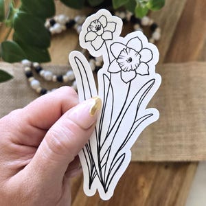 Bloemsticker van de geboortemaand van de narcis van maart | 2,25 x 4 inch glanzend waterdicht vinyl | Zwart-wit handgetekende botanische, geïllustreerde bloemencadeau